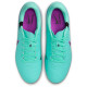Nike Legend 10 Academy FG/MG